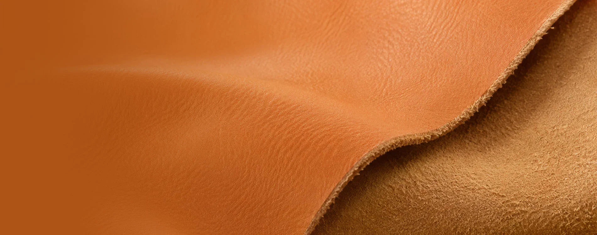 iPhone 17 Series
